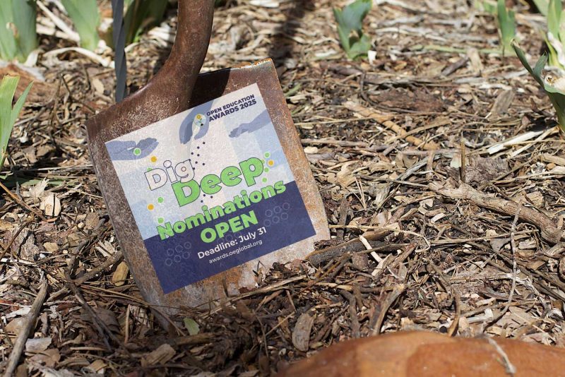 Digging Deep for the 2025 Open Education Awards for Excellence
