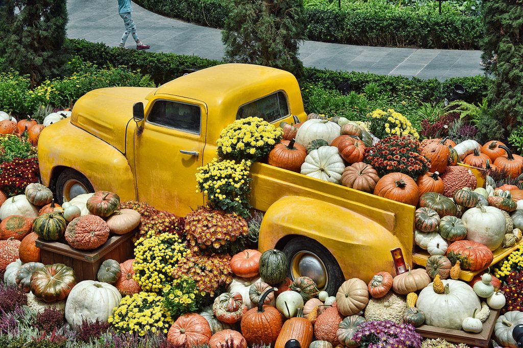 More Time Needed for OEAwards Harvest– Consider the Act of Micro-recognition