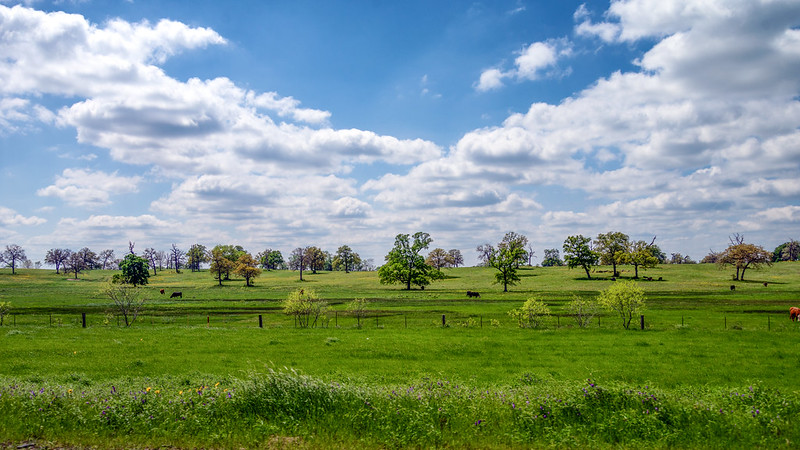 Guest Post: Texas’ Journey Toward Open Education