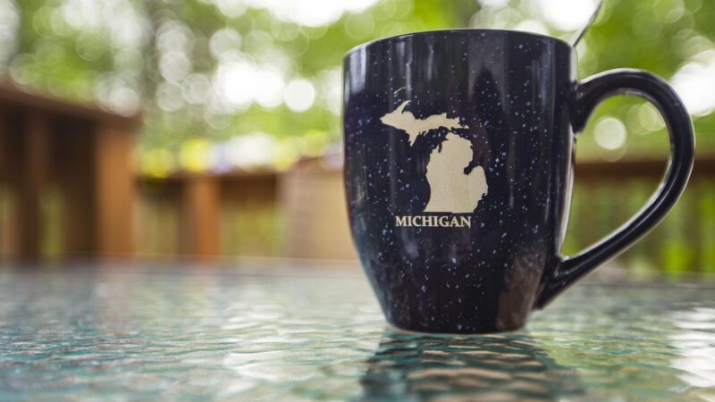 May 20 – CCCOER Webinar – A Fierce Commitment to Teaching: Michigan Faculty Voices on OER