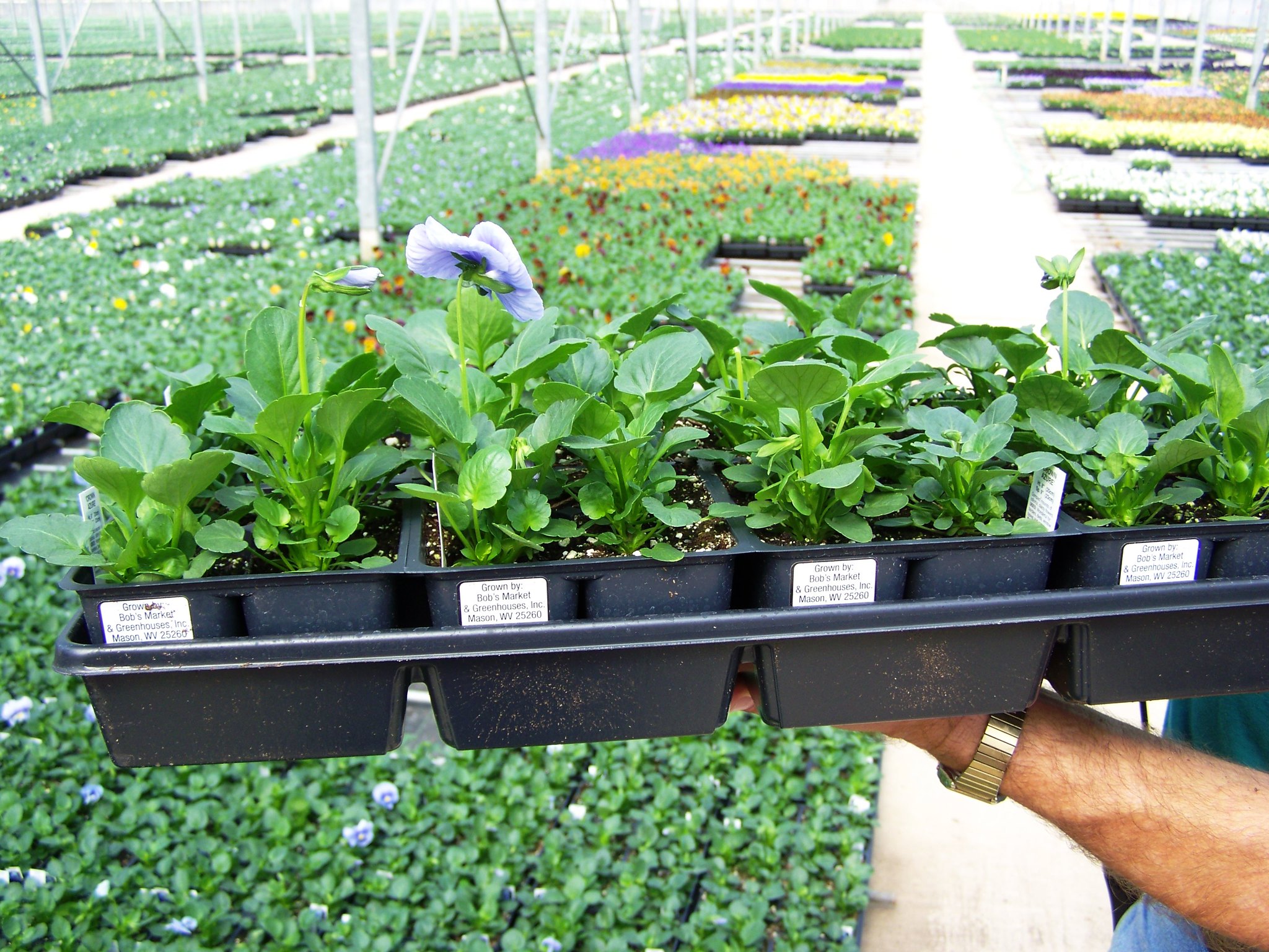 OEAward Nominations Close: Quick stats on this year’s seed planting