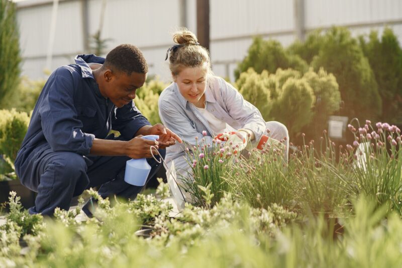 Seeds of Recognition Planted for OEAwards Now in the Hands of Review Committee