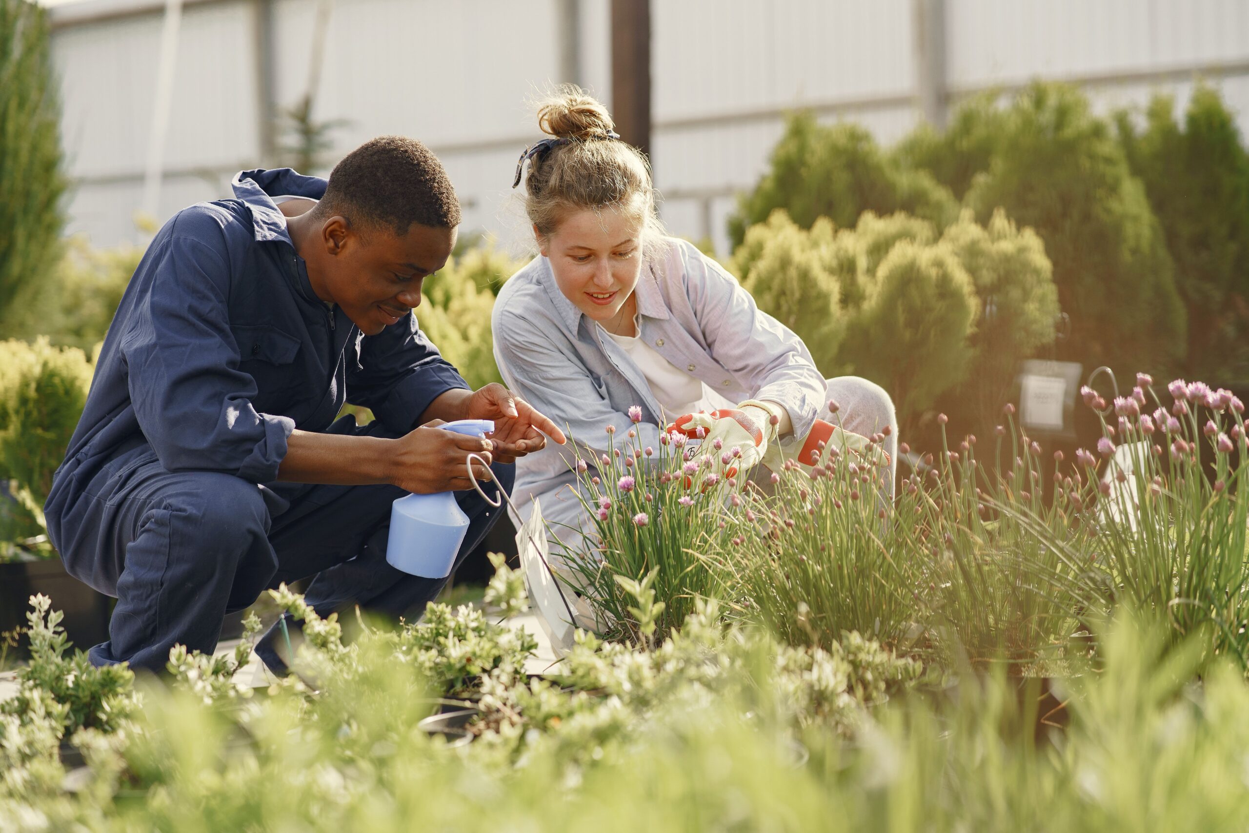 Dark skin man and white woman crouched down together smiling as they tend carefully to plants inside a greenhouse.